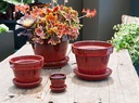 STANDARD POTS, SIZE D, TROPICAL RED, 2.5"X2.25", ATTACHED SAUCER (SOLD IN CASE OF 8)