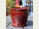 BUTTER CUP POT WITH ATTACHED SAUCER, TROPICAL RED, SIZE C, 4.5"X4.5" (SOLD IN CASE OF 8)