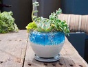 GERBERA POT WITH ATTACHED SACUER, MARBLE, SIZE A, 8.0"X7.0" (SOLD IN CASE OF 4)