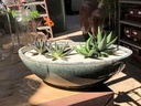 SUCCULENT CANOE, CINNAMON, SET OF 3 - 12.0" X 4.0" X 6.0", 9.0" X 3.0" X 5.0", 7.0" X 2.5" X 4.5" (SELL BY CASE OF 2)