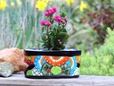 SMALL CRADLE PLANTER, 9.5" x 5.5" x 4.5", SOLD IN CASE O F4